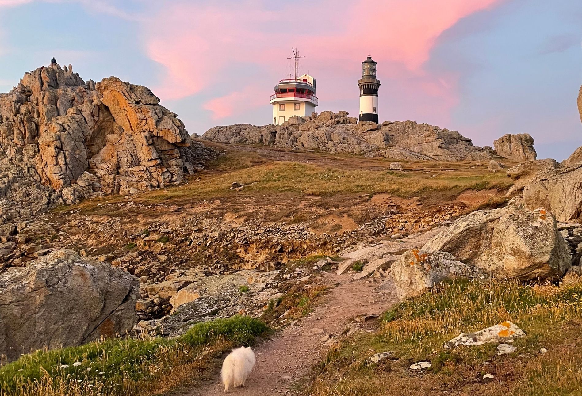 Recrutements 2026 💪